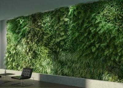 طراحی دیوار سبز، یک باغچه عمودی تمام و کمال!