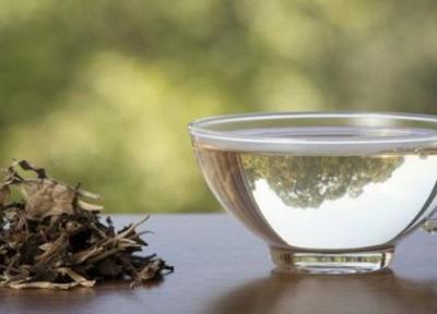 چه کسانی باید نوشیدن چای سبز را متوقف کنند ؟