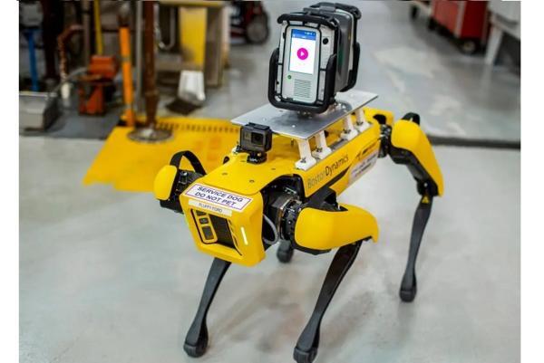 سگ رباتی که مانند یک کارگر در کارخانه کار می کند!