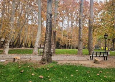 شکایت شهرداری تهران از کاخ سعدآباد بابت قطع 15 درخت، پیگیری برای اجرای حکم کمیسیون ماده 7